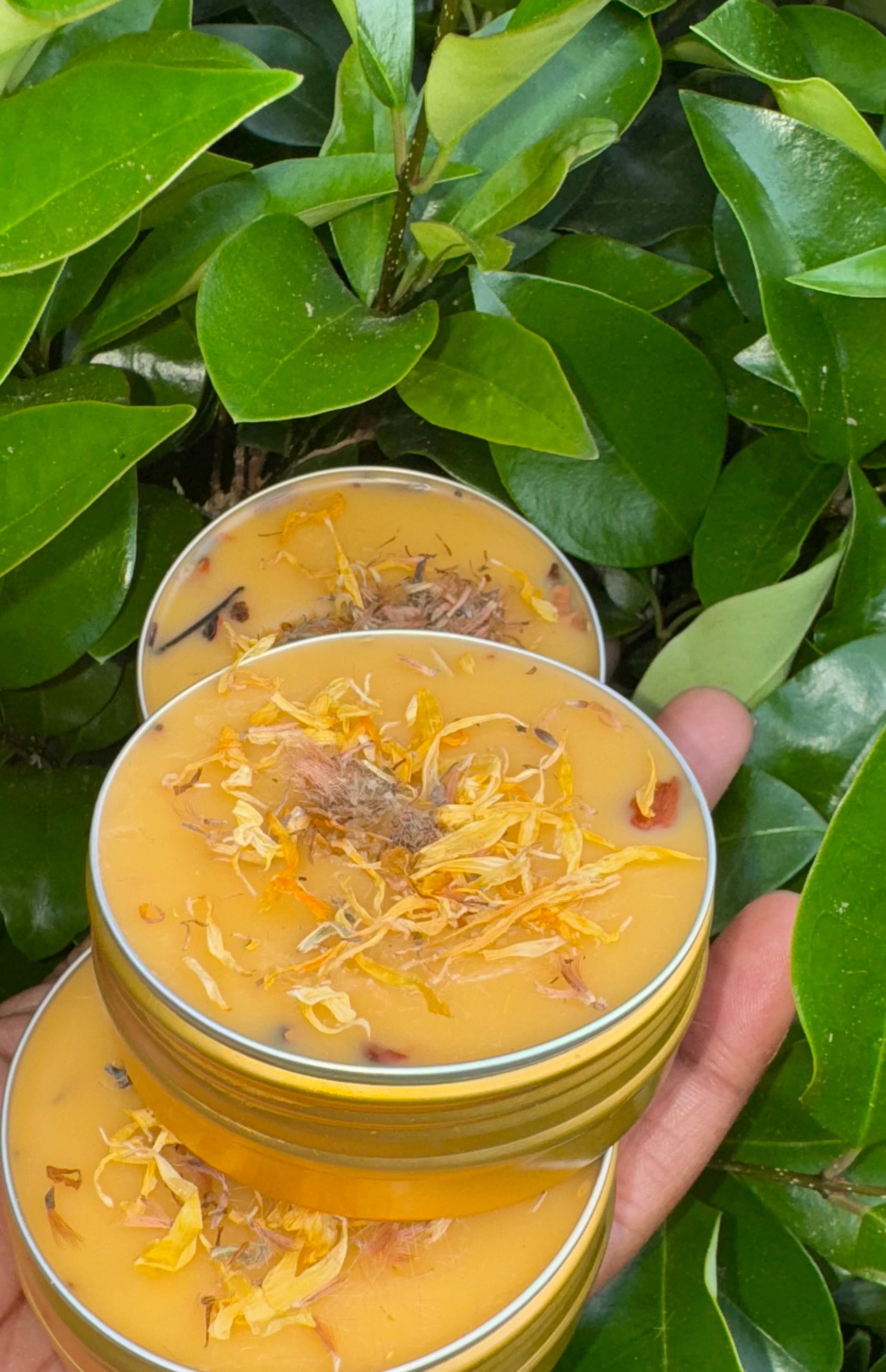 Deep Ease Relieving Salve